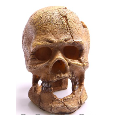 AQUA ONE Aquarium Ornament Human Skull with Hole