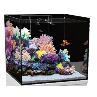 Aqua One ReefSys 255 Glass Aquarium