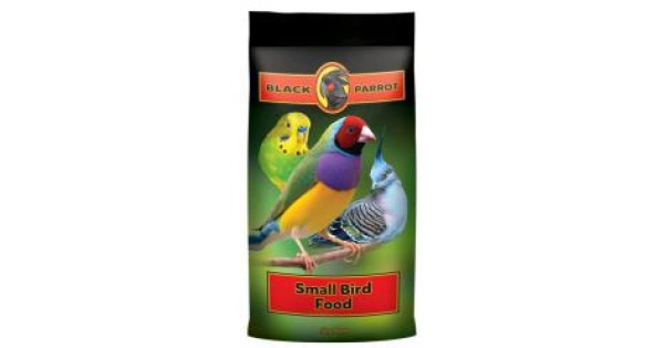 black parrot small bird food