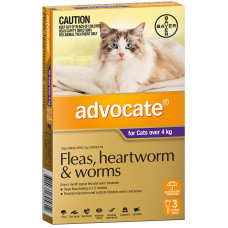 Advocate for Cats 4kg+ 6pk