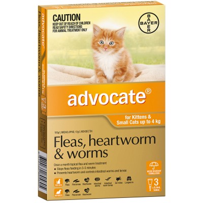 Advocate for Cats 0-4kg 6pk