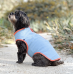 Huskimo Dog Jacket Chill Blue 52cm