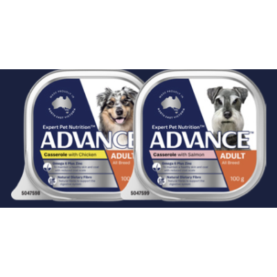 Advance Wet Dog Food Single Serve Adult Salmon Casserole 100g 12pk