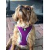 Huskimo Dog Harness Easyfit Aurora Medium