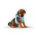 Curli Dog Harness Puppy Air Mesh Plus Leash Sky Blue XXXS