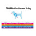 Doog Dog Harness Neon Neoflex Rin Tin Tin XL