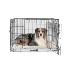 Superior Pet Goods Dual Door Dog Training Crate 48 Inch