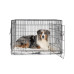 Superior Pet Goods Dual Door Dog Training Crate 36 Inch