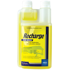 Virbac Recharge for Dogs 1L