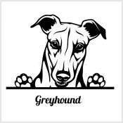 Greyhound Supplements