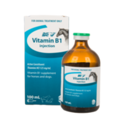 Nature Vet Vitamin B1 100ml