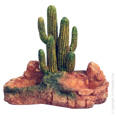 Reptile One Ornament Cactus Garden with Resin Base Small