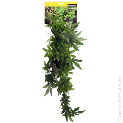 Reptile One Plant Hanging Sativia Green 70cm