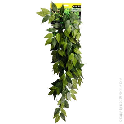 Reptile One Plant Variegated Ivy Cascading Green 72cm