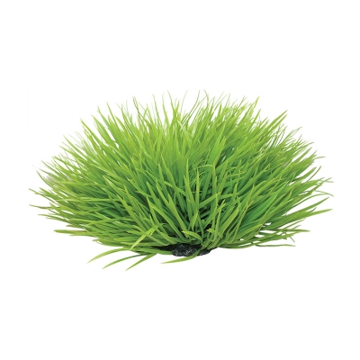 Reptile One Plant Spinifex Green Round 30cm