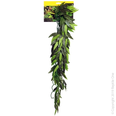 Reptile One Plant Tradescantia Cascading Green 40cm